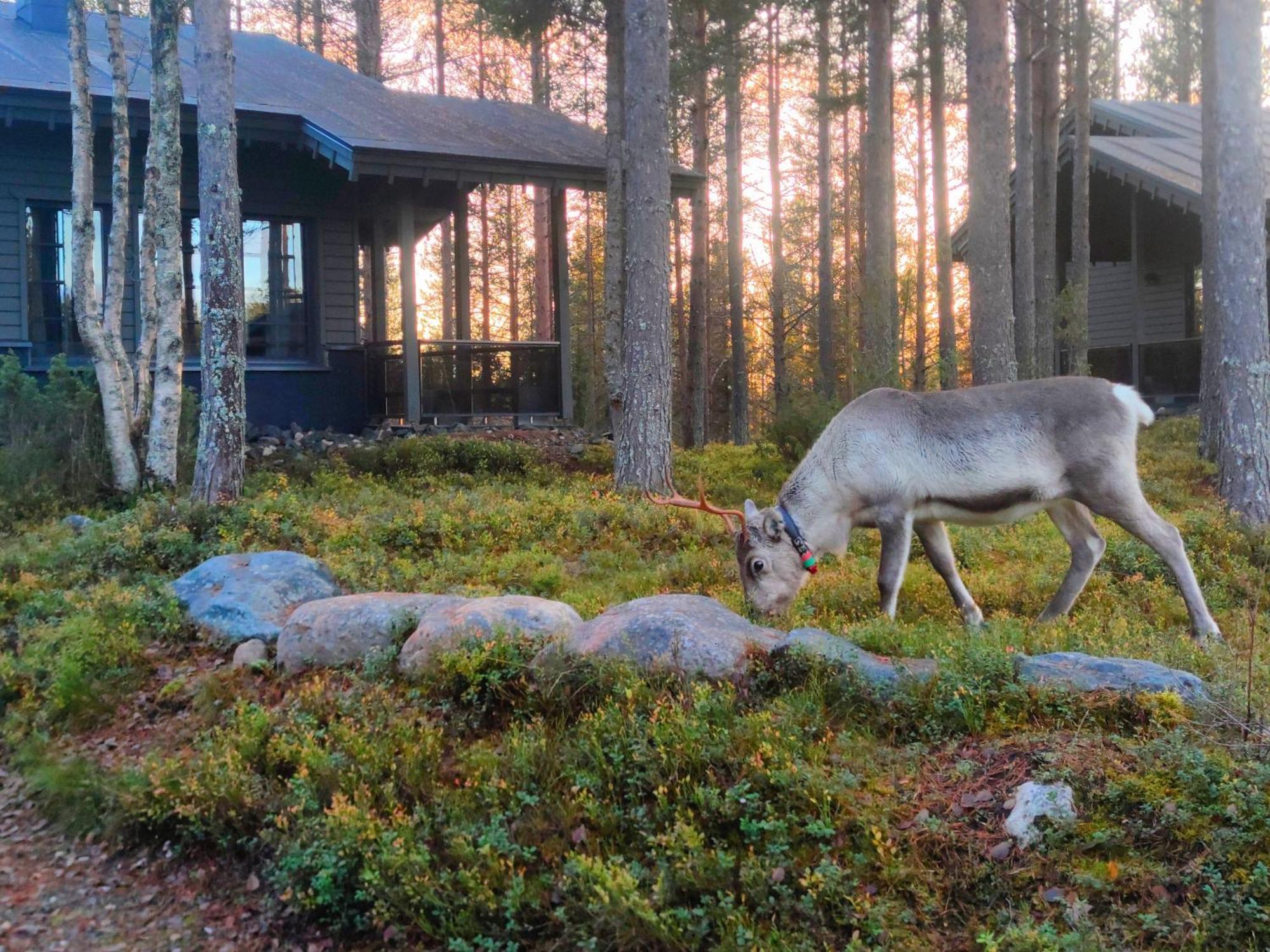 Tunturipoelloe 1 Villa Ruka Exteriör bild